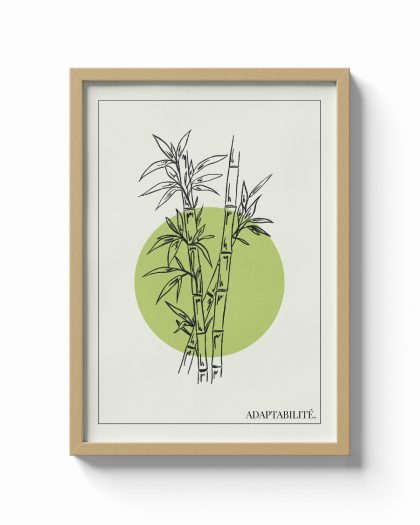 Bambou / Adaptabilité