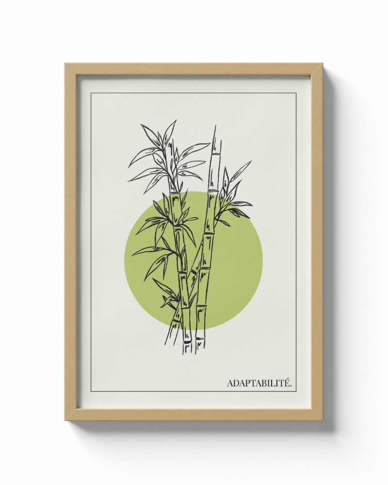 Bambou / Adaptabilité