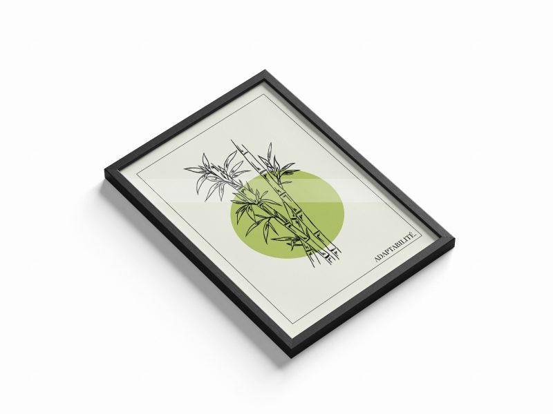 Bambou / Adaptabilité – Image 2