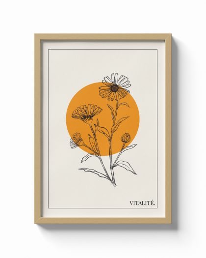 Calendula / Vitalité