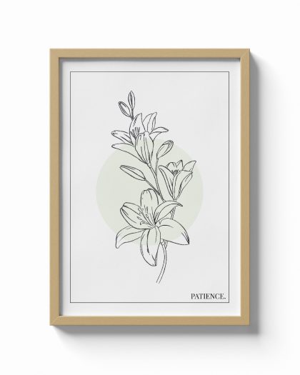 Lys / Patience
