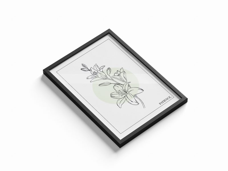 Lys / Patience – Image 2